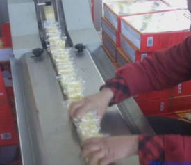 片装整理机在灌装包装设备中的关键作用与供应信息解析